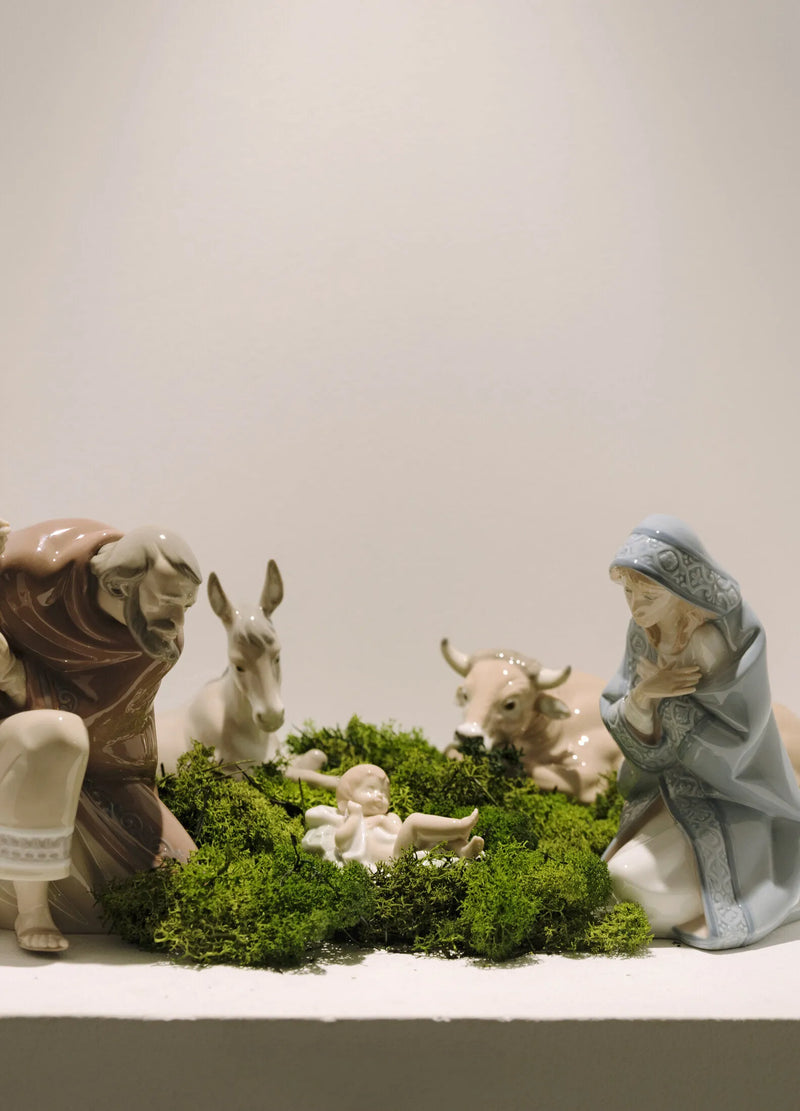 Animals at Bethlehem Nativity