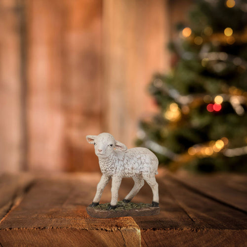 Nativity Lamb